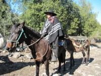 /album/fotogaleria/san-fabian-4-jpg/